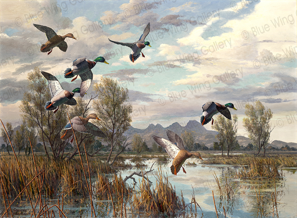 Mallards Near The Sutter Buttes By Harry Curieux Adamson 